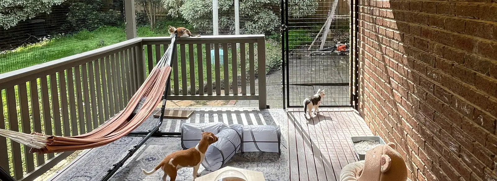 Balcony Catios: an example custom cat enclosure