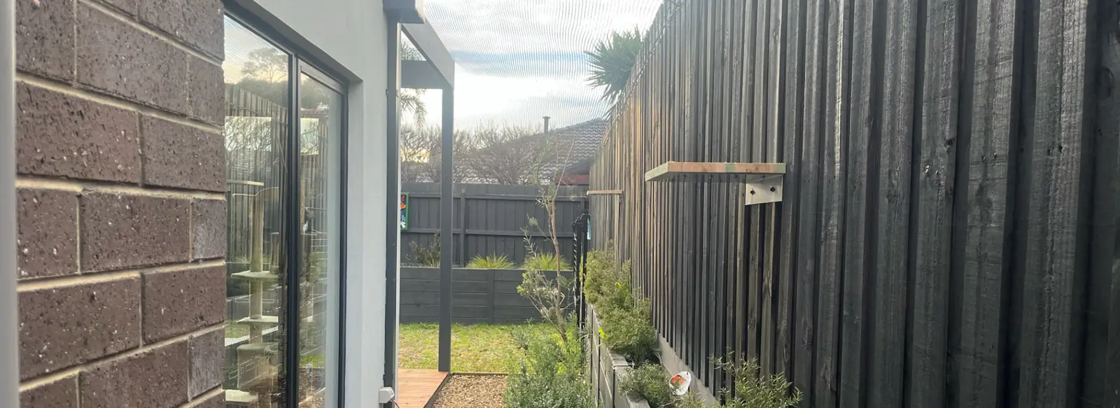 Walk-in Enclosures: an example custom cat enclosure